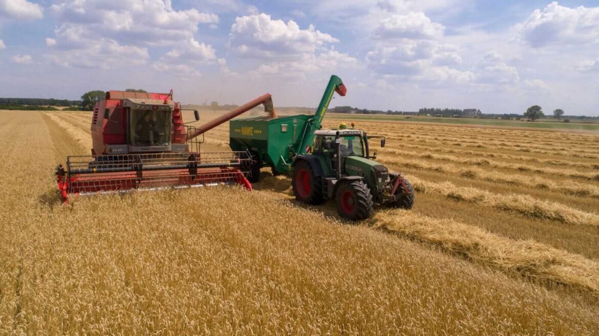 Wheat Fades Lower into the Weekend